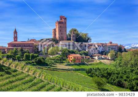 Small town and green vineyards in Piedmont, Italy. 9833429