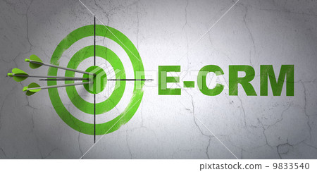 Finance concept: target and E-CRM on wall background 9833540