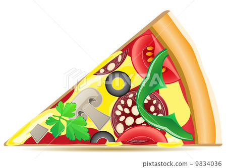 pizza vector illustration 9834036