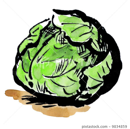 like a picture letter, spring cabbage, excellent 9834859