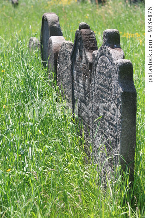 Old jewish cemetery Old jewish cemetery 9834876