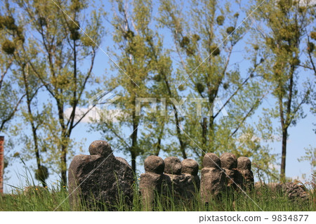 Old jewish cemetery Old jewish cemetery 9834877