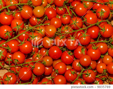 red tomatoes red tomatoes 9835789