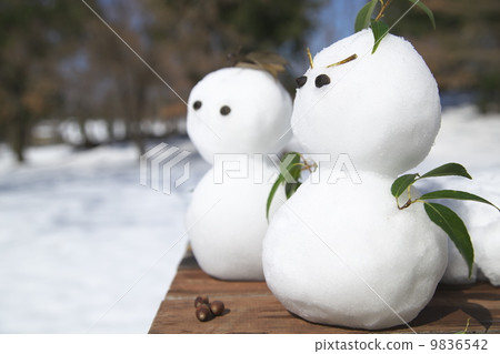 雪人 9836542