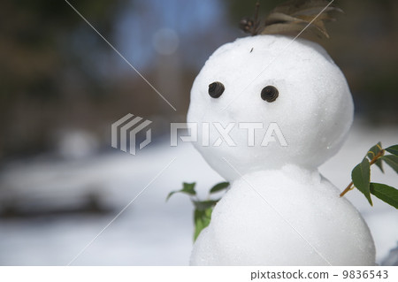 雪人 9836543