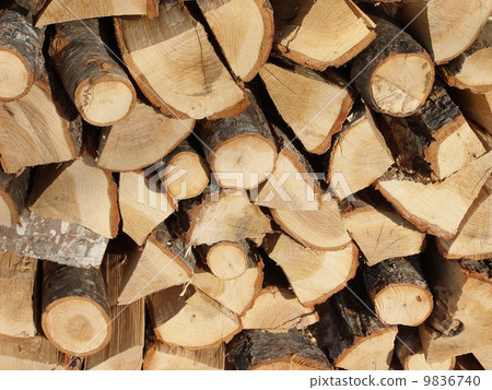 Firewood Firewood 002 Firewood Firewood 002 9836740