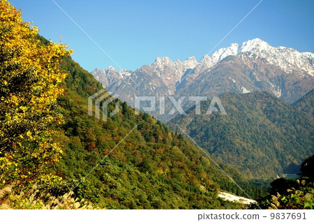 The first snow rush 9837691