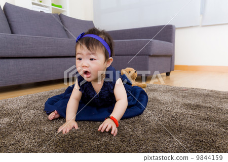 Baby girl creeping on carpet at home 9844159