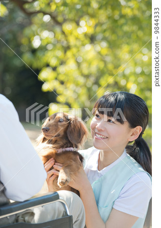 Pet therapist woman and senior 9844333