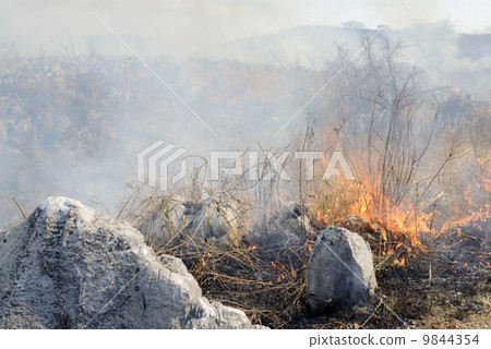 Field burning Akiyoshidai 9844354