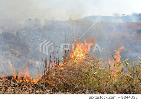 Field burning Akiyoshidai 9844355