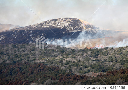 Field burning Akiyoshidai 9844366