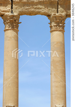 ancient columns Palmyra, Syria 9846245