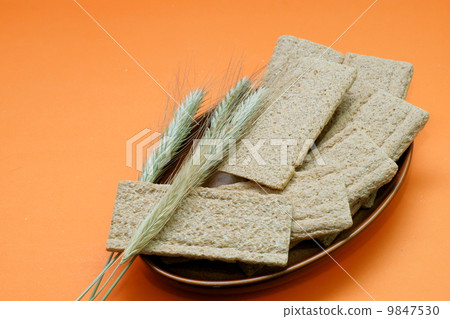 bread and corn ,wheat 9847530