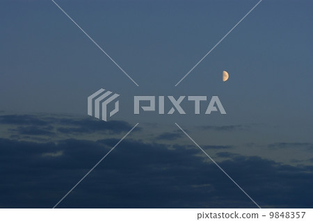 moon moon 9848357
