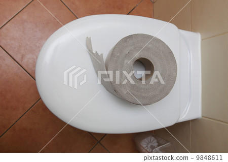 toilet paper in bathroom toilet paper in bathroom 9848611