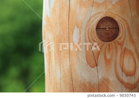 Wooden knotted plank green bokeh background 9850743