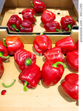 red bell peppers, paprika in market 9851260