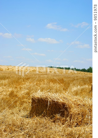 Haystack in a wheat field - harvest Haystack in a wheat field - harvest 9851978