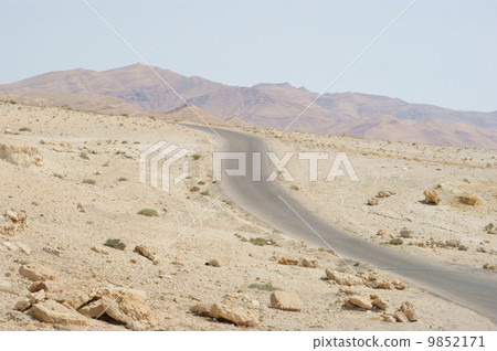 Desert road in the Syria 9852171
