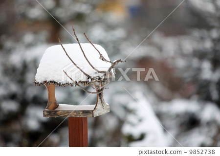 the bird feeder in winter 9852738