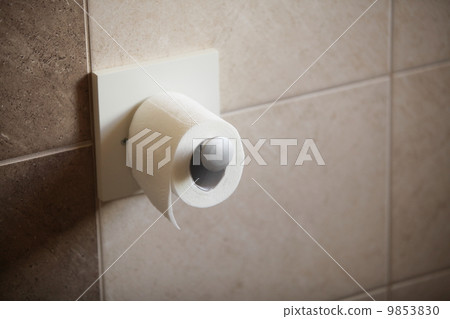 toilet paper roll in bathroom toilet paper roll in bathroom 9853830
