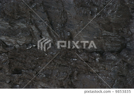 coal coal 9853835