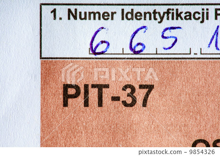Filling in polish individual tax form PIT-37 for year 2013 9854326