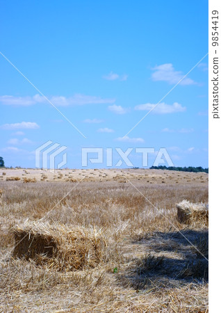 Haystack in a wheat field - harvest 9854419