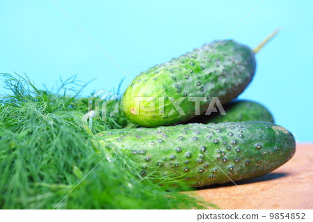 bunch fresh dill and cucumbers on wooden table bunch fresh dill and cucumbers on wooden table 9854852