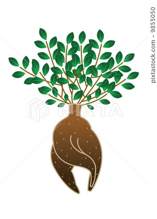 Casual tree Casual tree 9855050