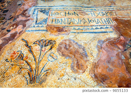 Floor mosaic Floor mosaic 9855133