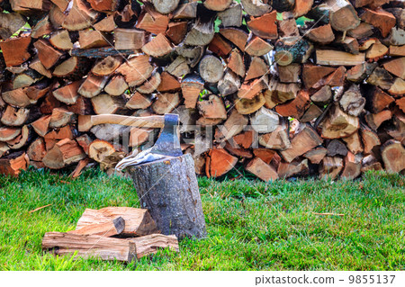 Firewood Firewood 9855137