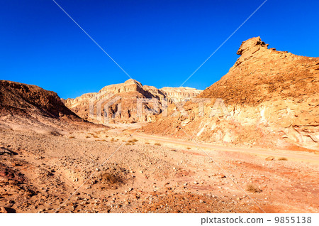 Desert landscape Desert landscape 9855138