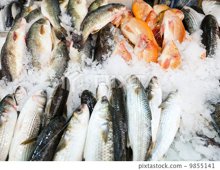 Fish at the market 9855141