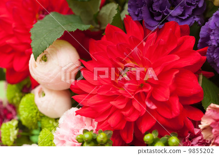 flower arrangement  9855202