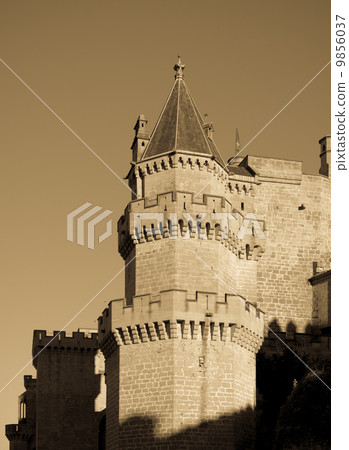 Palace of the Kings of Navarre at Olite in evening. Spain Palace of the Kings of Navarre at Olite in evening. Spain 9856037