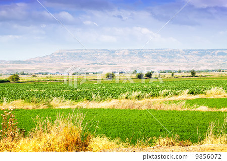 Rural landscape in Aragon, Spain Rural landscape in Aragon, Spain 9856072