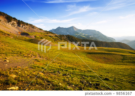 Summer view of highland meadow Summer view of highland meadow 9856167