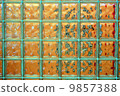glass brick - tranlucent glass wall 9857388