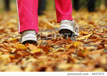 Runner legs running shoes. Woman jogging in autumn park 9857975