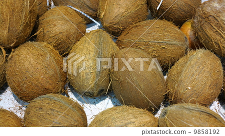 Ripe coconuts in market as background 9858192