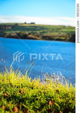 beautiful irish landscape green meadows at the river Co.Cork, Ireland. 9858380
