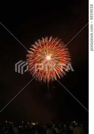 煙花 煙花 9859038