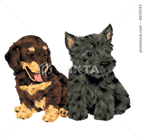 Pretty dog Pretty dog 9859343