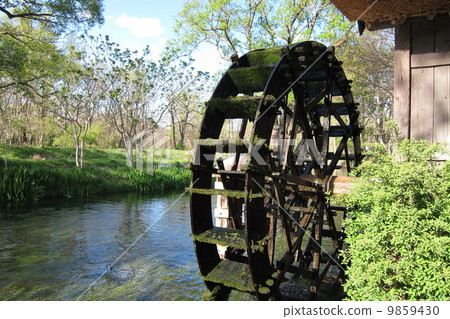 Daio Wasabi Farm - Waterwheel 9859430