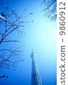 天空樹和櫻桃樹 9860912