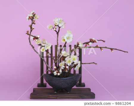 Mini Ikebana 9861204