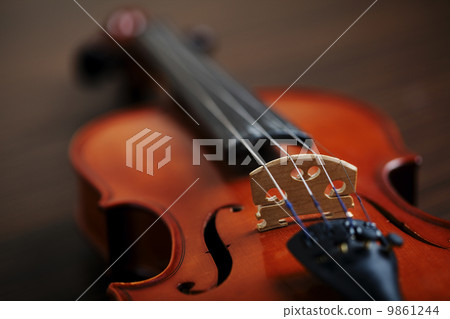 aged handmade violin 9861244