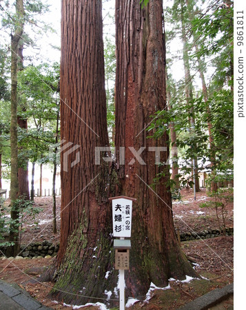 Couple of Wakasa Hikami company's couple 9861811
